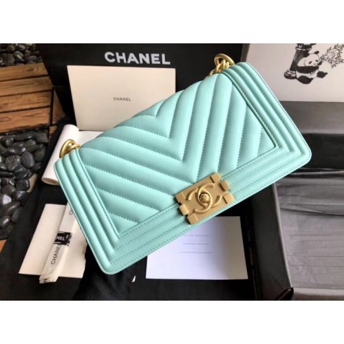 Chanel Bag 224 25cm